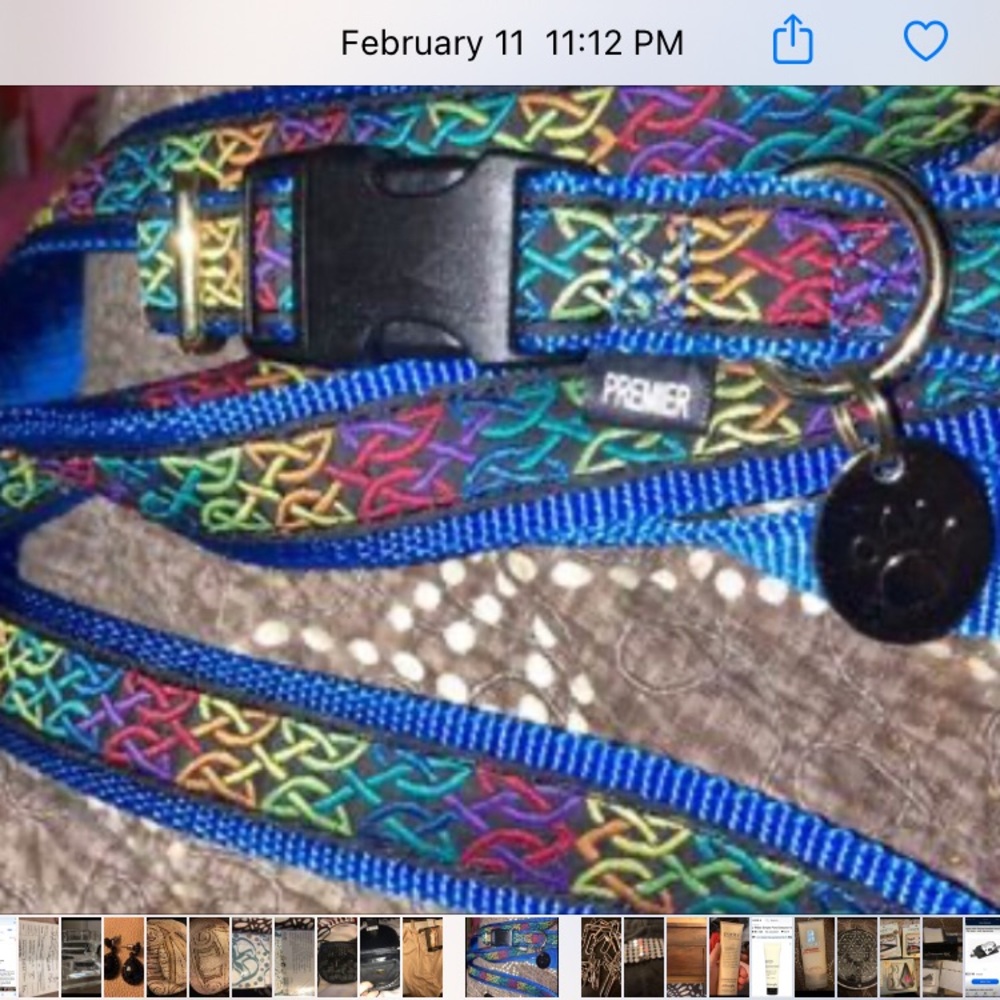 Leash and collar